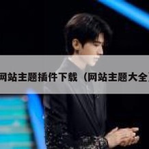 网站主题插件下载（网站主题大全）