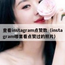 查看instagram点赞数（instagram哪里看点赞过的照片）