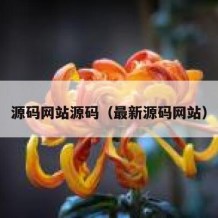 源码网站源码（最新源码网站）