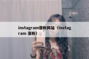 instagram涨粉网站（instagram 涨粉）