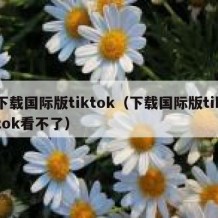 下载国际版tiktok（下载国际版tiktok看不了）