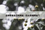 怎样搭建自己的网站（怎么搭建网站?）