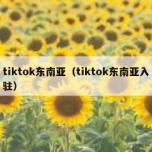 tiktok东南亚（tiktok东南亚入驻）