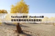 facebook群控（facebook群控有效果吗候鸟浏览器官网）