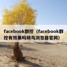 facebook群控（facebook群控有效果吗候鸟浏览器官网）