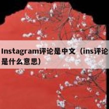 Instagram评论是中文（ins评论是什么意思）