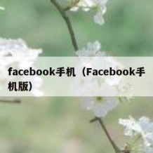 facebook手机（Facebook手机版）