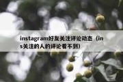 instagram好友关注评论动态（ins关注的人的评论看不到）