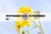 跨境专线网络tiktok（海外免费回国软件）