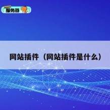 网站插件（网站插件是什么）