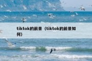 tiktok的前景（tiktok的前景如何）