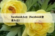 facebook入口（facebook登录入口）