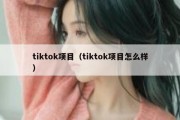 tiktok项目（tiktok项目怎么样）