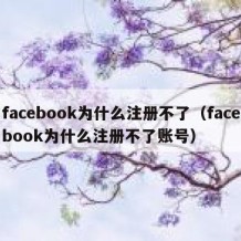 facebook为什么注册不了（facebook为什么注册不了账号）