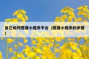 自己如何搭建小程序平台（搭建小程序的步骤）