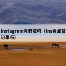 instagram有假赞吗（ins有点赞记录吗）