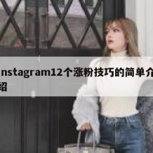 instagram12个涨粉技巧的简单介绍