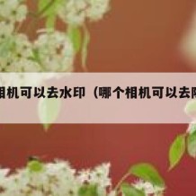 哪个相机可以去水印（哪个相机可以去除水印）