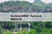 facebook净利润（facebook利润2019）