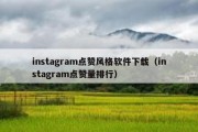 instagram点赞风格软件下载（instagram点赞量排行）