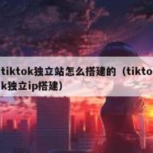 tiktok独立站怎么搭建的（tiktok独立ip搭建）