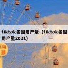 tiktok各国用户量（tiktok各国用户量2021）