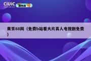 黄页88网（免费b站看大片真人电视剧免费）
