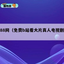 黄页88网（免费b站看大片真人电视剧免费）