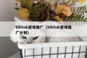 tiktok游戏推广（tiktok游戏推广计划）