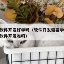 自学软件开发好学吗（软件开发需要学什么!自学软件开发难吗）