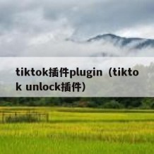 tiktok插件plugin（tiktok unlock插件）