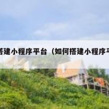 如何搭建小程序平台（如何搭建小程序平台赚钱）