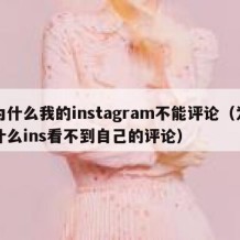 为什么我的instagram不能评论（为什么ins看不到自己的评论）