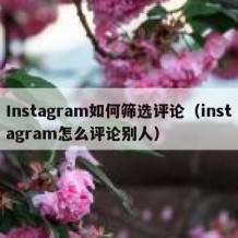 Instagram如何筛选评论（instagram怎么评论别人）