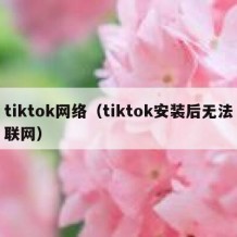 tiktok网络（tiktok安装后无法联网）