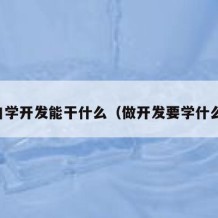 自学开发能干什么（做开发要学什么）