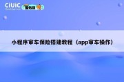 小程序审车保险搭建教程（app审车操作）