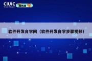 软件开发自学网（软件开发自学步骤视频）