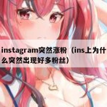 instagram突然涨粉（ins上为什么突然出现好多粉丝）