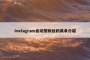 instagram自动赞粉丝的简单介绍