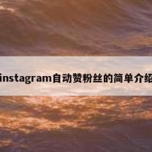 instagram自动赞粉丝的简单介绍