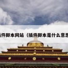 插件脚本网站（插件脚本是什么意思）