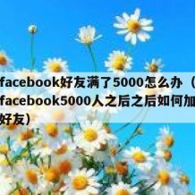 facebook好友满了5000怎么办（facebook5000人之后之后如何加好友）