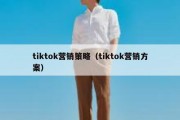 tiktok营销策略（tiktok营销方案）