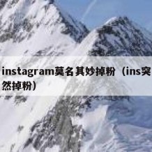 instagram莫名其妙掉粉（ins突然掉粉）