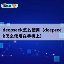 deepseek怎么使用（deepseek怎么使用在手机上）
