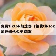 免费tiktok加速器（免费tiktok加速器永久免费版）