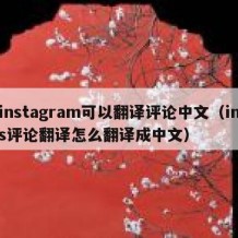 instagram可以翻译评论中文（ins评论翻译怎么翻译成中文）