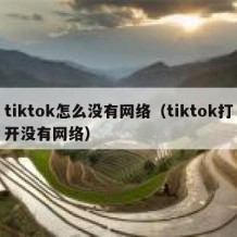 tiktok怎么没有网络（tiktok打开没有网络）