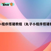 丸子小程序搭建教程（丸子小程序搭建教程视频）